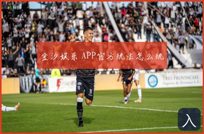 金沙娱乐 APP官方玩法怎么玩