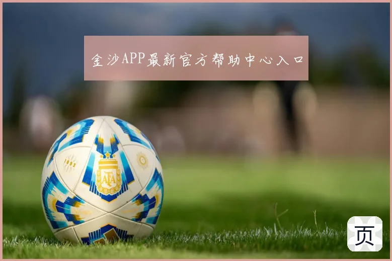 金沙APP最新官方帮助中心入口
